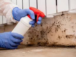 Best Biohazard Mold Removal  in Artesia, NM